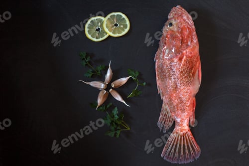 Preview: Red Scorpionfish Lemon Garlic