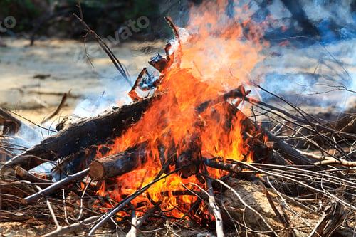 Preview: Bonfire burning at the beach
