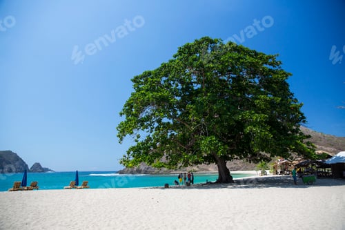 Preview: Mawun Beach, Pantai Mawun, Lombok, Indonesia