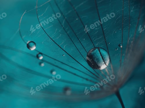 Preview: Abstract dandelion flower background, extreme closeup. Big dandelion on natural background. Art phot