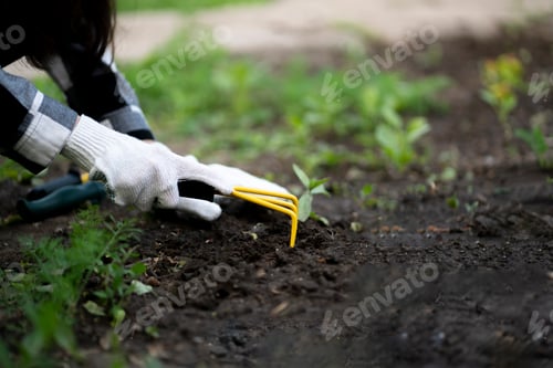 Preview: person planting a new flower plant in the garden outdoors
