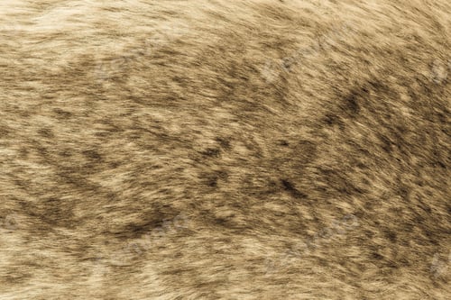 Preview: The Abstract Textured Background Of Imitation Of Old Fur Of A Wild Animal