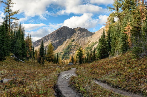 Preview: Hiking trail with rocky mountains in autumn forest at provincial park