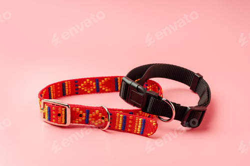 Preview: Textile pet collar on pink background studio photo
