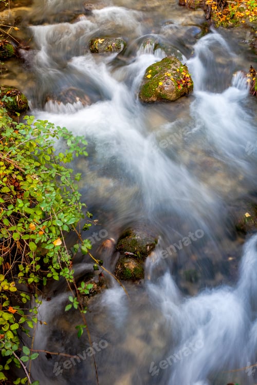 Preview: River Majaceite