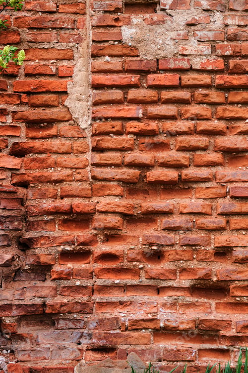 Preview: Brick old red wall texture background. Green plants framing old brick, wallncient bricks fence, retr