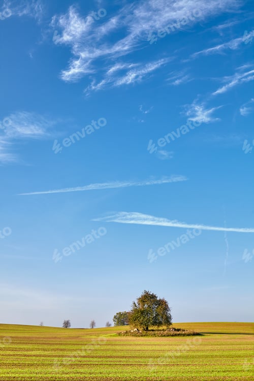 Preview: Rural landscape