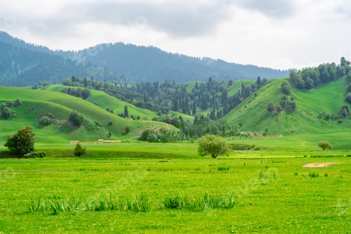 Preview: Nalati Grassland beautiful natural valley scenery in Xinjiang, China