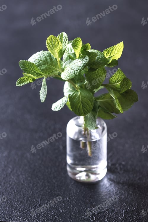 Preview: Bunch of fresh mint