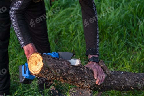 Preview: Hand-held portable camping electric saw on a battery for cutting firewood and wood. Close-up, a hand