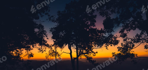 Preview: Twilight Sunset ,after sunset in the sky in the forest
