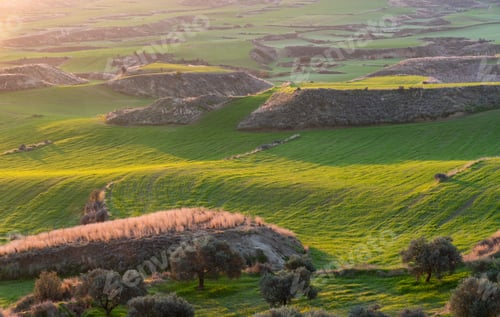 Preview: Agriculture farmland field at sunrise. Green meadow land