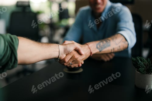 Preview: Diverse multiethnic business people, handshake for agreement, b2b deal and cooperation for project