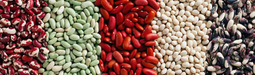 Preview: Top view of diverse beans creating a colorful pattern