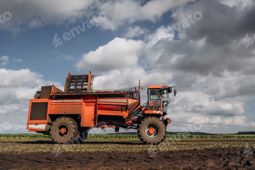 Preview: Beet harvester is on the agricultural field at daytime