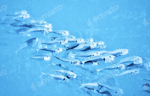 Preview: School of Fish
DA