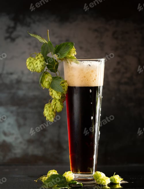 Preview: Glass of dark beer with hops around on a dark background
