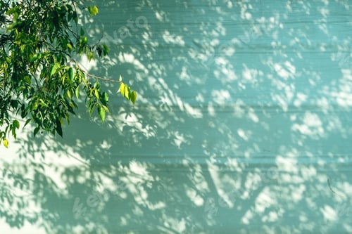 Preview: Lush deciduous tree branches with leaves casting shadow on truck trailer tarpaulin cover