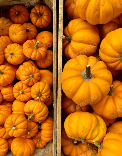 Preview: Pumpkins
