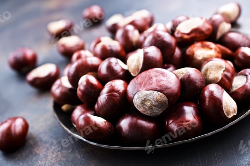 Preview: raw chesnuts