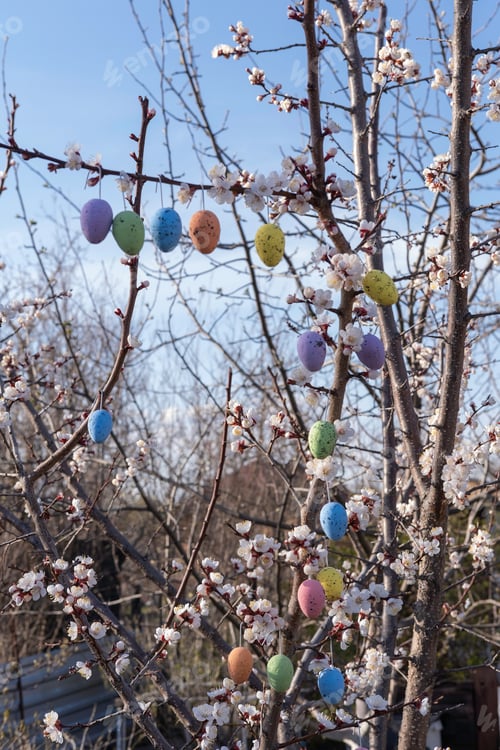 Preview: Flowering trees with hanging Easter colored eggs. Garden decoration. Easter decorative composition.