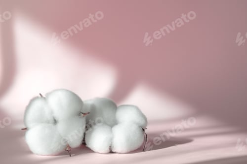 Preview: Cosmetic pink background for product presentation with cotton flower, shadows and light from windows