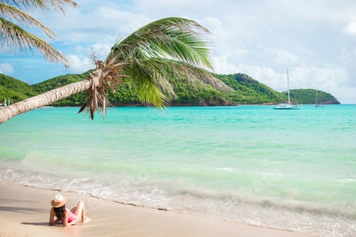 Preview: Young slim woman in bikini and straw hat lying on tropical beach. Beautiful girl under the palm tree