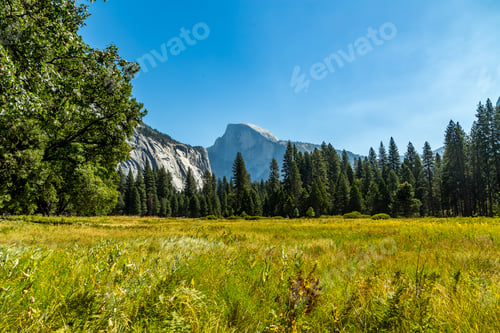 Preview: Half Dome Is A Granite Dome At The Eastern End Of Yosemite Valley In Yosemite National Park