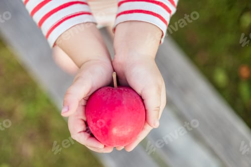 Preview: Kids hands holding a red apple outdoors. Copy space blurred background