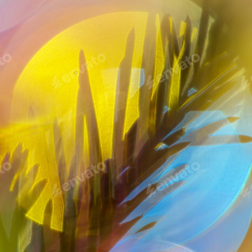 Preview: Silhouette of Christmas Ornament Tree Branch with Needles, Defocused Blurred Bokeh Background