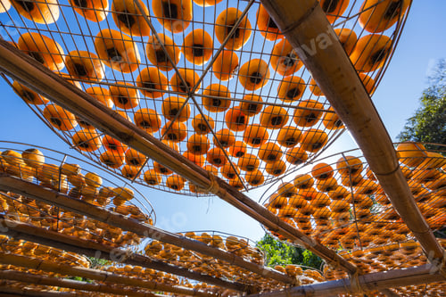 Preview: Sun dried persimmon fruit dried persimmon processing