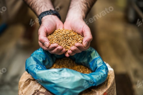 Preview: Beer production