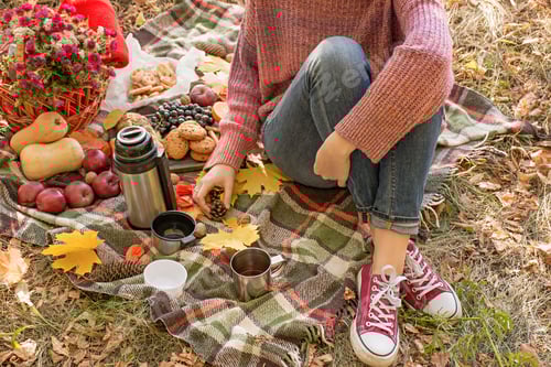 Preview: Autumn picnic in the park. The girl sits on a blanket in the middle of the park. Autumn concept.