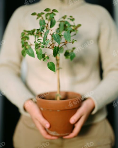 Preview: Woman holding a plant pot