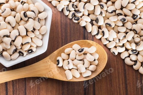 Preview: Black-headed beans, Vigna unguiculata