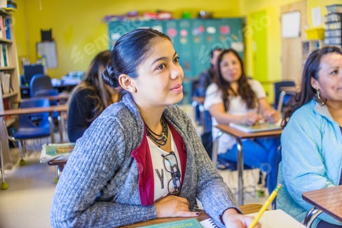 Preview: Female and male mature students listening from class desks