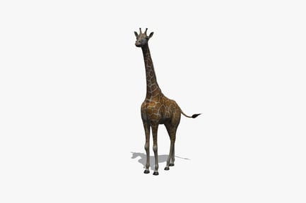 Preview: Realistic Rigged Giraffe