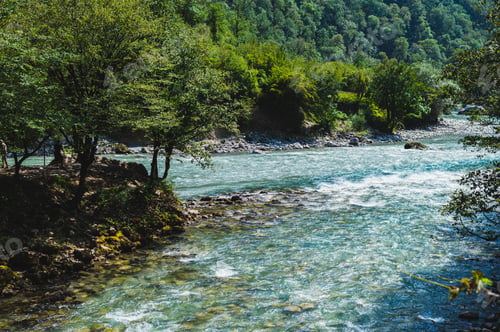 Preview: Free blue mountain rock river among forested mountains on sunny day