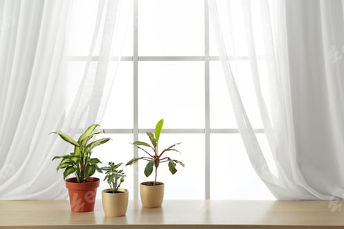 Preview: Different plants in pots on window sill, space for text. Home decor