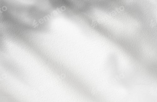 Preview: Concrete Wall Texture with Leaves Shadow Overlay on White Background,Empty Grey Studio background