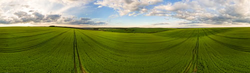 Preview: Aerial landscape view of green cultivated agricultural fields