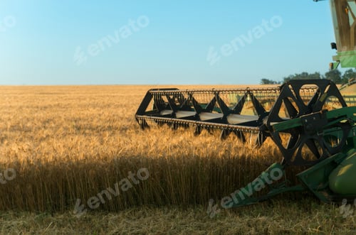 Preview: Modern combine harvester working on a wheat crop