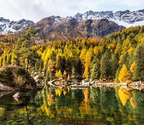 Preview: A Beautiful Switzerland nature place in World