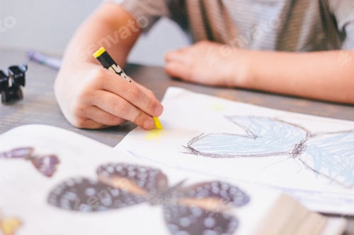 Preview: Little boy coloring butterflies with crayons