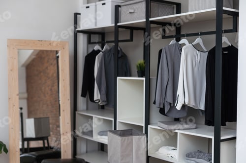 Preview: Neat Closet Organizer with Mirror and Clothing