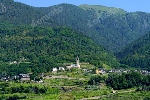 Preview: Landscape along the Sentiero della Valtellina, Italy, from the cycleway