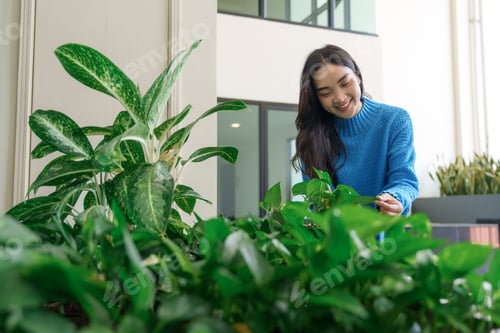 Preview: Woman smiling while caring for vibrant green plants