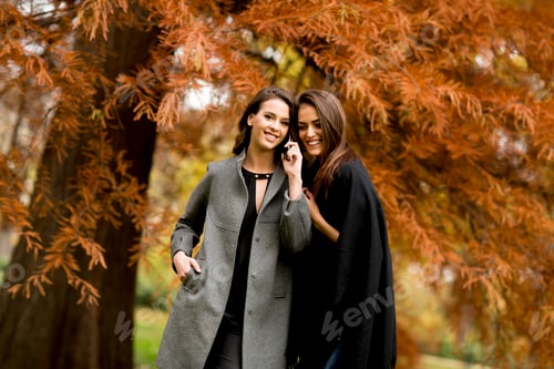 Preview: Two pretty young women using mobile phone in the autumn forest