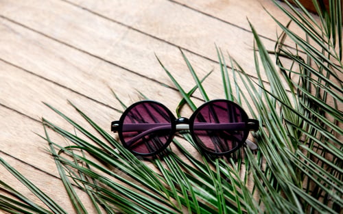 Preview: Sunglasses and palm tree branch