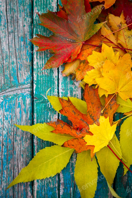 Preview: Autumn Leaves on wooden background